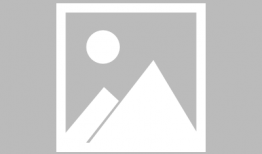 吃屎视频,吃屎视频的惊人真相与反思